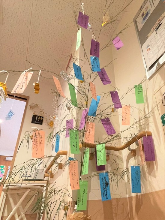 星に願いを ☆彡