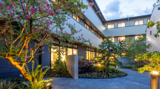 夜の庭園 ライトアップ