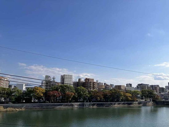 ようやく秋らしくなってきました