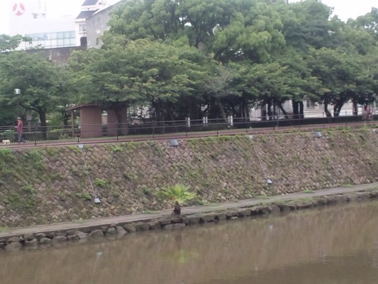 お詫びと訂正。。。