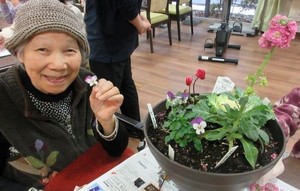 寄せ植えの冬の管理