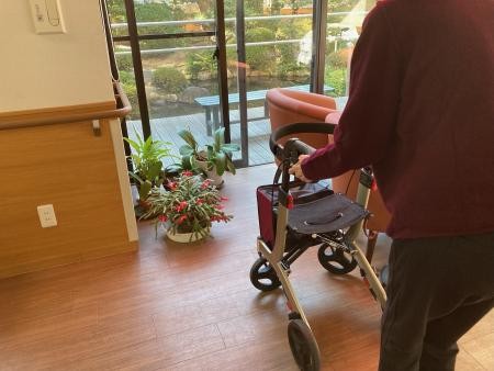 気分転換のお散歩☆