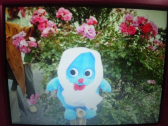 あ～なちゃんお散歩の巻♪