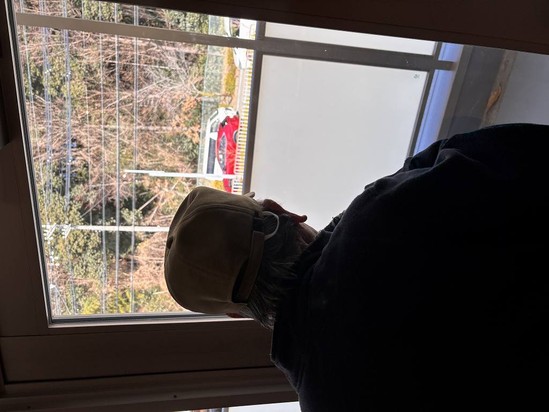 廊下からの眺め