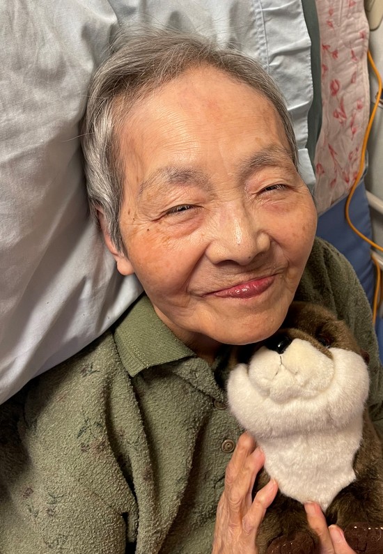 にゃん・にゃん・にゃんの日(=^・^=)