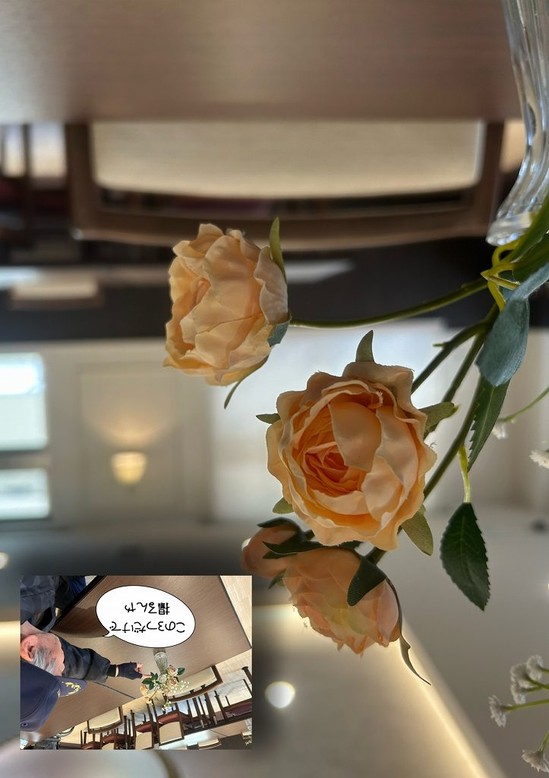 写真の撮り方を教えてもらいました