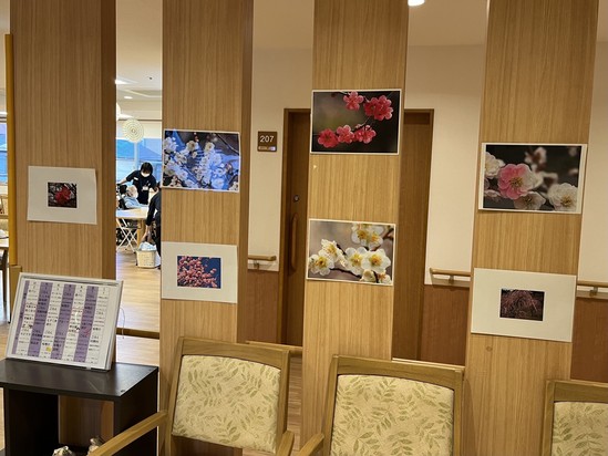 春はもうすぐ。 