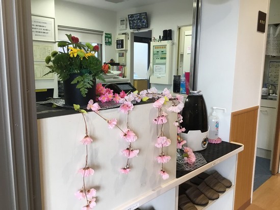 玄関が春らしくなりました