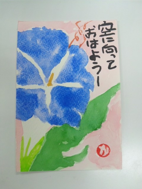 多彩な紫陽花。