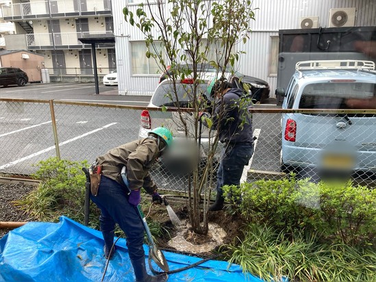 施設の敷地内の緑が生まれ変わりました。
