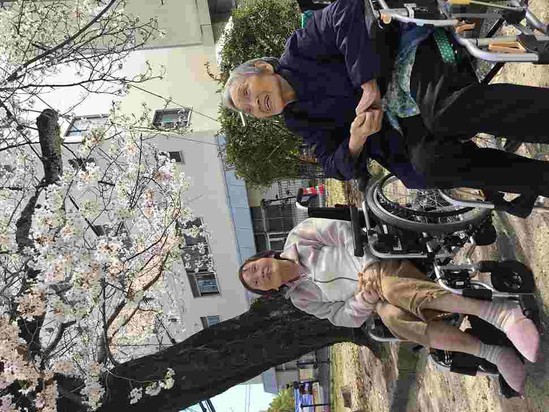 ある日のお花見①　