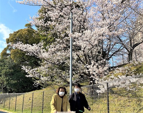 すいた散歩～記念写真～