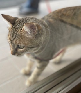 ～癒しのひと時～