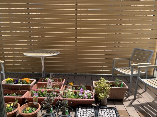 【アルファリビング広島段原】段原ガーデン2025春③