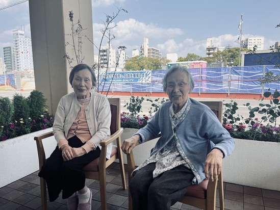 花壇のお花を植え替え