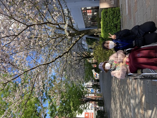 今年もお花見いってきました❁　パート①