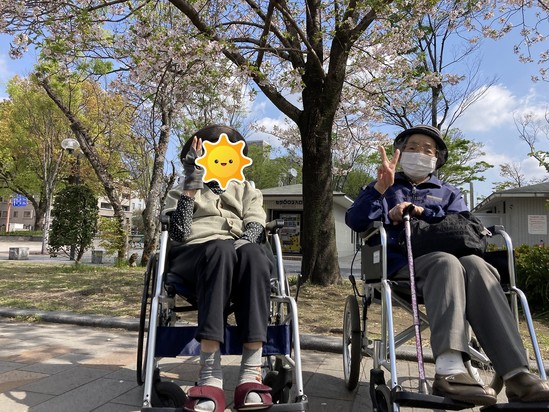 今年もお花見いってきました❁パート③