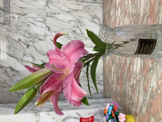 みんなで折り紙♪