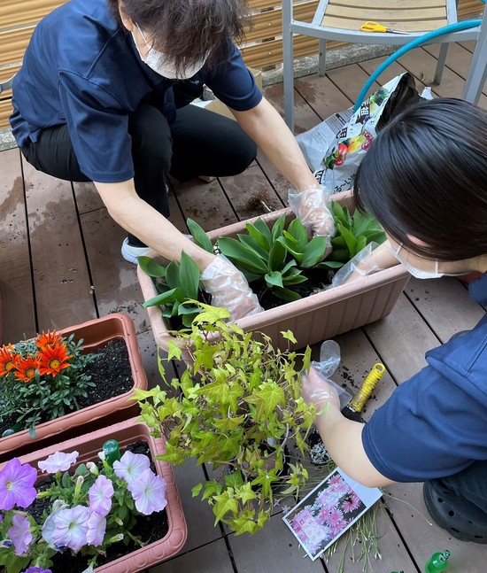 【アルファリビング広島段原】段原ガーデン2025春④