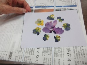 寄せ植えのお花を使って～作品完成編～