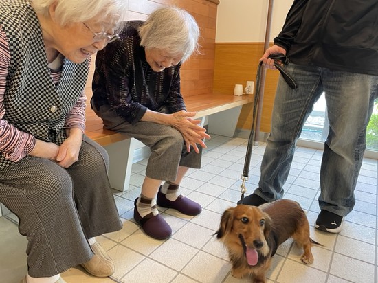 【アルファリビング広島段原】久しぶりのサンちゃん①
