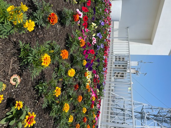 そよ風ランチ会～準備編～