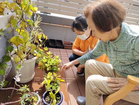 プレミアムなテラス通信　vol.14