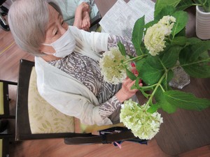 お部屋で季節（梅雨）を感じます