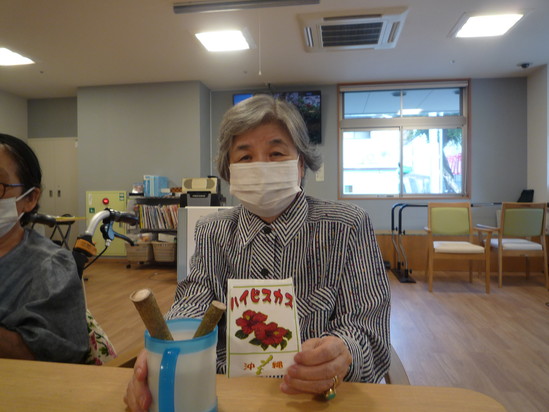 ハイビスカス育てます。