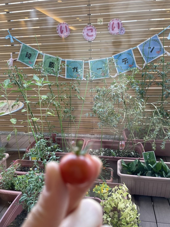 【アルファリビング広島段原】トマトで笑顔