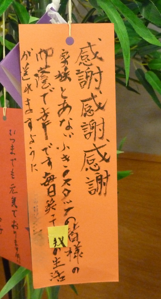 夏空に届く！入居者様からの「贈り物」