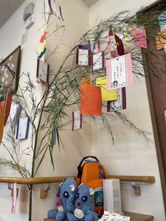短冊に願いを込めて