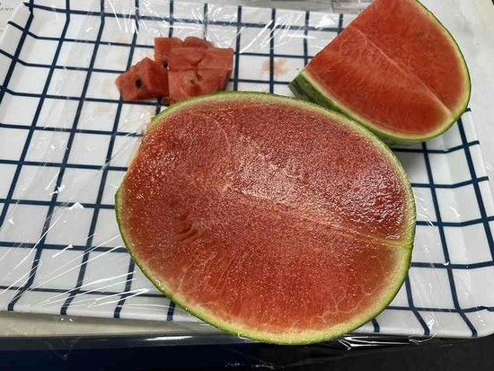 花火の前に乾杯