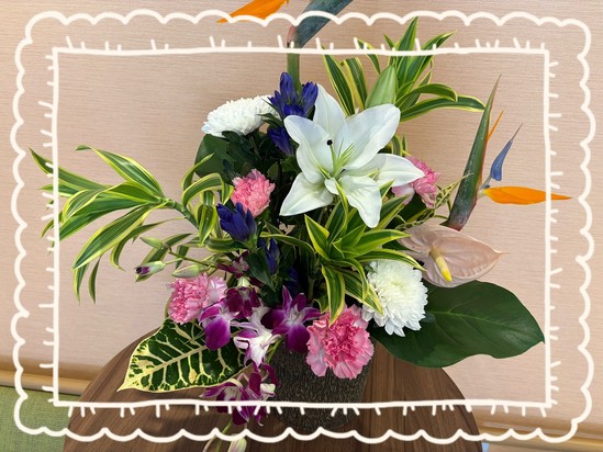 お花紹介(*'ω'*)