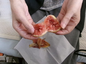 まさか、初体験をここでするとは！！