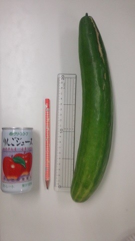 Ｂｉｇな・・・。