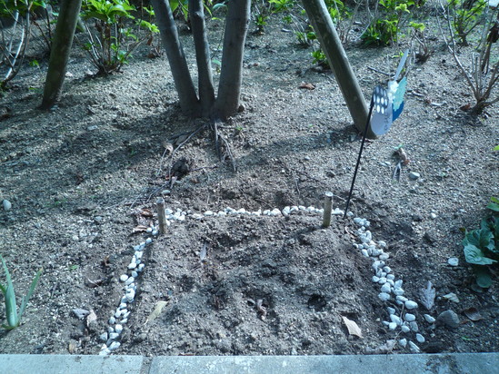 新たに・・・( ´艸｀)