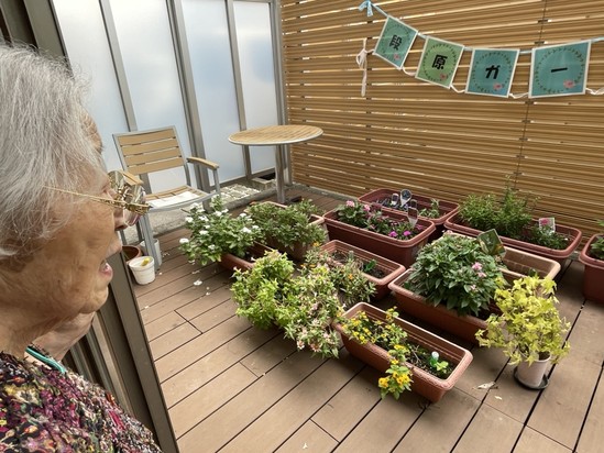 【アルファリビング広島段原】久しぶりの段原ガーデン