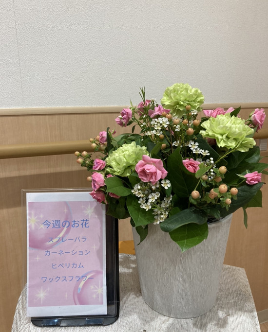 ❁今週のお花❁