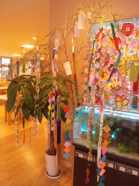 8月7日　七夕。