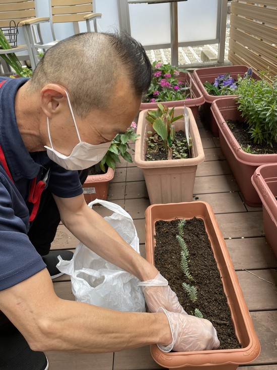 【アルファリビング広島段原】これ、多肉植物です