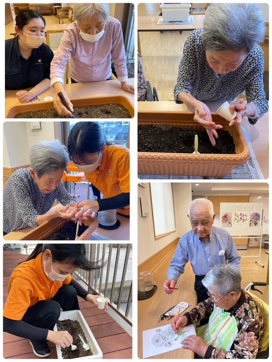 ～種うえ　　ぬりえ～