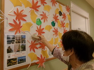 フクロウ登場!!