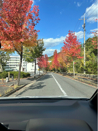 秋を感じる紅葉ドライブ①