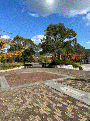 秋を感じる紅葉ドライブ②