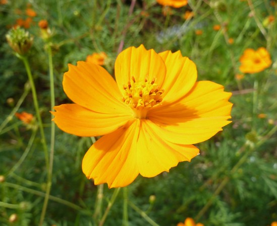 私たちに求められるもの