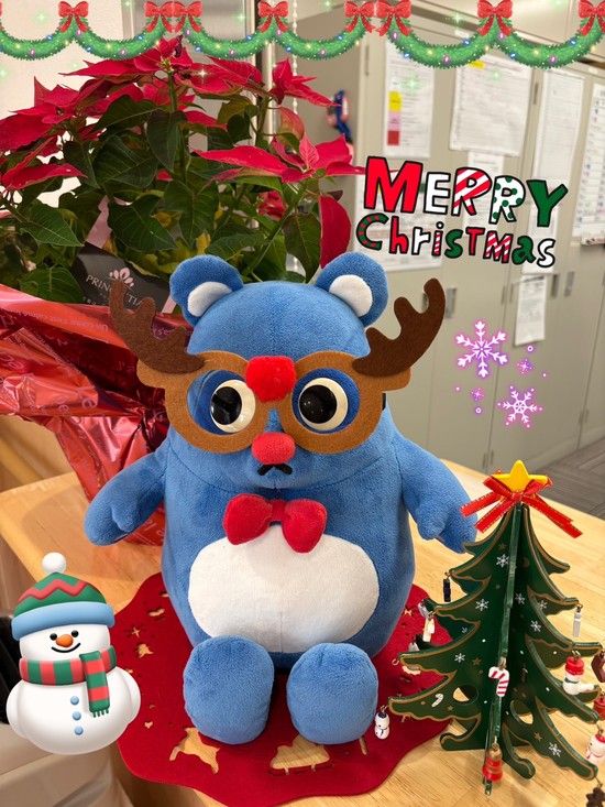 クリスマスの飾り☃❅