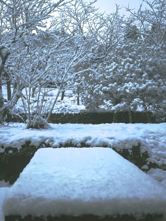 【アルファリビング広島段原】初雪