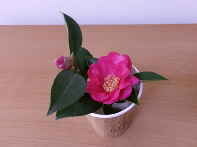 小さな花があるだけで。