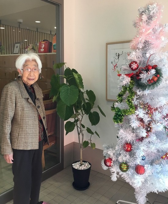 12月の玄関クリスマスツリー